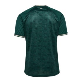 Camiseta Werder Bremen Anniversary 2023-24
